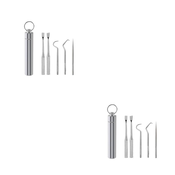 Injueey Palillo de Limpieza de de viaje Selección Barbacoa Fruta Tenedor Reutilizable Lavable Multifuncional Flosser Flosser con 5PCS 2piezas Injueey CBP259788