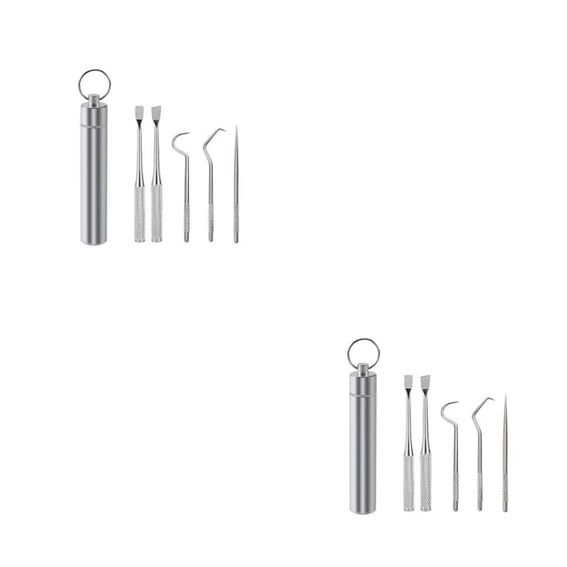 Cateissary Palillo de Limpieza de de viaje Selección Barbacoa Fruta Tenedor Reutilizable Lavable Multifuncional Flosser Flosser con 5PCS 2piezas Cateissary CBP259788