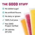thumbnail image 4 of Goodpop Freezer Pops with Electrolytes 100% Fruit Juice 15 Pack - Lemonade Variety Pack, 4 of 6