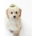 thumbnail image 3 of Dog Cowboy Hat Cat Cowboy Hat Pet Cowboy Costume Mini Cowboy Hat for Dogs Cat Holiday Halloween Pet Party Decoration (Brown, Small), 3 of 10