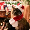 thumbnail image 4 of Gorro de Papá Noel con bufanda para perros y gatos de Mimigo, conjunto de ropa navideña para mascotas con gorro y bufanda de Papá Noel para gatos, cachorros y perros, gorro navideño rojo., 4 of 4