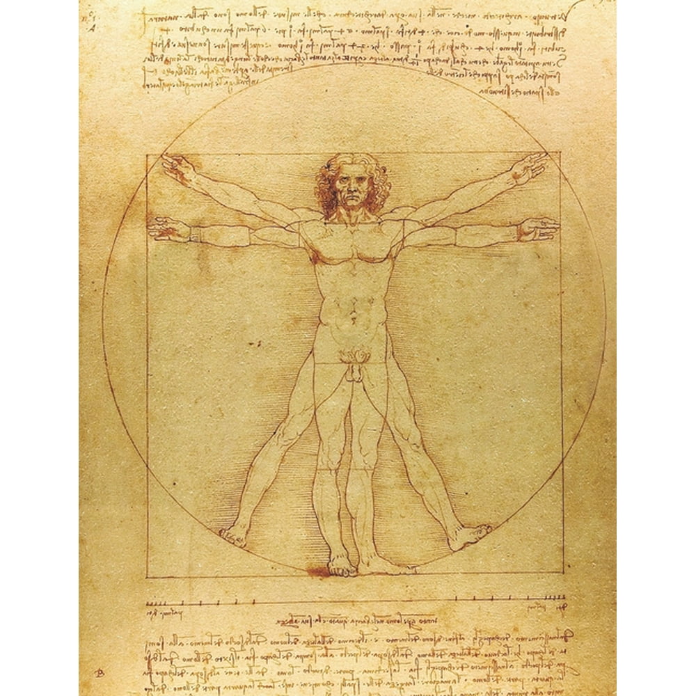 leonardo da vinci anatomy drawings