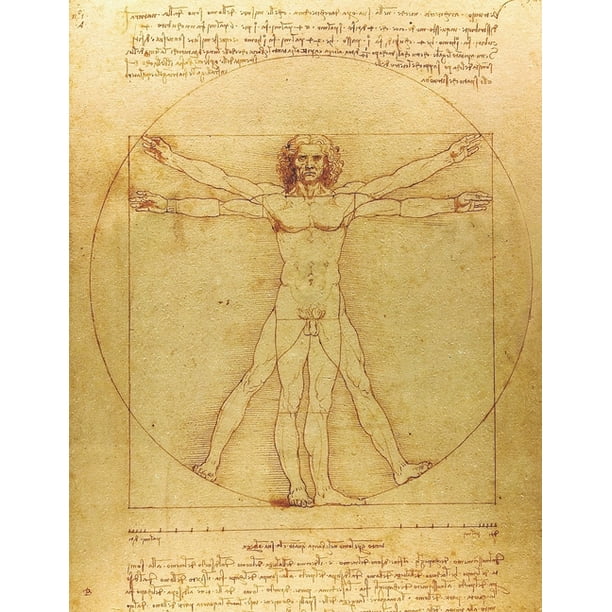 human anatomy drawings leonardo da vinci