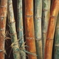 thumbnail image 2 of Tita Quintero 15x15 Gallery Wrapped Canvas Wall Art Titled - Caribbean Bamboo I, 2 of 4