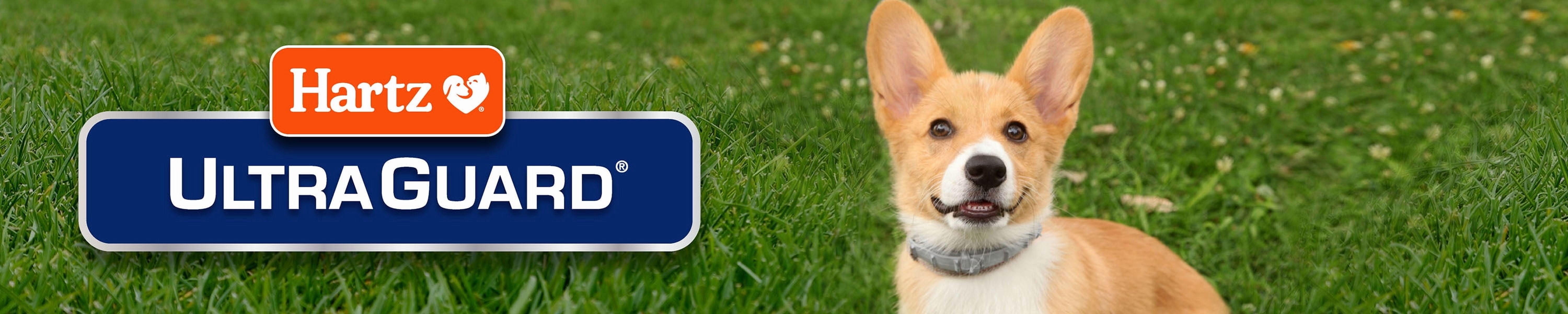 Hartz Ultraguard Flea & Tick Treatment for Dogs And Puppies 6 to 14 Kg, Each package contains 3 tubes, usage 1 tube per month.  Do not use on dogs under 12 weeks of age.