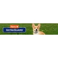 thumbnail image 4 of Traitement antipuces et antitiques Ultra Guard Pro de Hartz pour chiens et chiots, 4 of 7