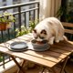 thumbnail image 4 of Cuenco plegable doble para mascotas con protuberancias de alimentación lenta, plato portátil de silicona para comida y agua para perros y gatos pequeños y medianos, ideal para viajes y almacenamiento., 4 of 9