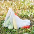 thumbnail image 3 of Nylon Insect-Proof Mesh Bag Nylon Seed Bag Soaking Bag Filter Dragon Fruit Anti-Fruit Fly Anti-Bird Bag, 3 of 8