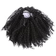 thumbnail image 1 of Miangastore Extension Queue de Cheval Courte Fibre Noire 1Pcs 12*6 Po, 1 of 8