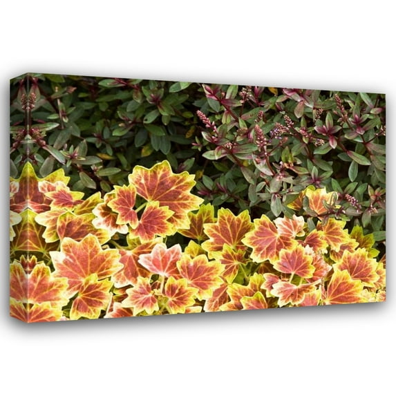 Rita Crane 24x18 Gallery Wrapped Canvas Wall Art Titled - Garden Glimpse X