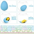 thumbnail image 3 of Growing Hatching Colored Egg Toys Growing Chick Unicorn Hatch Eggs Toy 2.4 Inch 4 Pack Grow in Water Eggs for Easter Hunt Games Party Supplies, 3 of 5