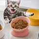thumbnail image 4 of Cuencos elevados para gatos y perros pequeños, plato de alimentación de alimentos elevado con inclinación de 15°, soporte de cerámica, comedero para gatos y cachorros, 6 colores, 4 of 5