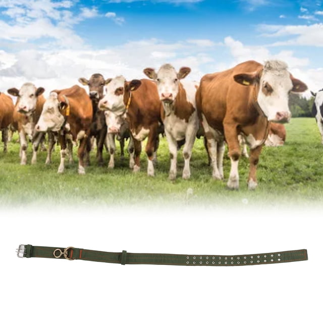 Cow Collar Adjustable, Calf With 2 Rows 4 Layer Metal Buckle For Horse Sheep Cattle DogL
