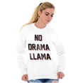 thumbnail image 4 of No Drama Llama Alpaca Chill Relaxed Unisex Plus Fleece Graphic Sweatshirt Brisco Brands 2X, 4 of 5