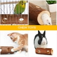 thumbnail image 2 of Natural Wooden Hamster Mouse Tunnel Tube Toy Forest Hollow Tree Trunk, 2 of 5