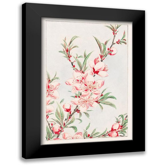 Morikaga, Megata 11x14 Black Modern Framed Museum Art Print Titled - Peach tree branches with leaves and blossoms