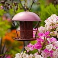 thumbnail image 5 of Bird Feeder for Outdoors Hunging, Gifts for Mom Grandma Women, Metal Waterproof Outside Wild Bird Feeders Garden, 5 of 5