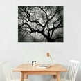 thumbnail image 2 of COMIO Black and White Wall Art Laminated Angel Oak Tree Art Prints Canvas Painting Wall Art Charleston South Carolina Wall Decor Canvas Frame Artwork Wall Decor Modern Home Decor, 2 of 4