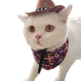 thumbnail image 3 of Pet Cowboy Hat Headwear Hat for Dogs/ Festival Supplies Cowboy Hat Props Headwear Kitten Sun Hat Cap, 3 of 12