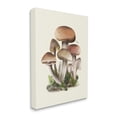 thumbnail image 4 of Stupell Industries Brown Woodland Mushrooms Botanical & Floral Painting Gallery Wrapped Canvas Art Print Wall Art, 24 x 30, 4 of 8