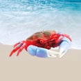 thumbnail image 2 of animals figurine,Mini Crabs Figurines Hand Painted Animals,Realistic Detailed Crabs Figures Cake Toppers,Desktop Craft Animal Sculpture Crabs Figurine,Crabs Model Action Figures sculpture Hugo none, 2 of 9