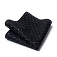 thumbnail image 1 of Nvzi Mens Silk Pocket Square Set Handkerchiefs-9*9inch，C38, 1 of 5