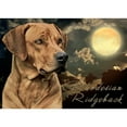 thumbnail image 2 of CafePress - Moonlit Ridgeback Throw Blanket - Soft Fleece Throw Blanket, 50"x60" Stadium Blanket, 2 of 2