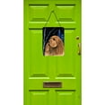 thumbnail image 2 of Carolines Treasures SS8391DS1216 Starry Night Sussex Spaniel Wall or Door Hanging Prints 12x16 multicolor, 2 of 2