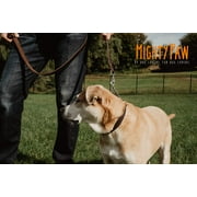 Mighty Paw Leather Training Collar, Martingale Collar, Stainless Steel Chain - Limited Chain Cinch Collar