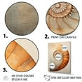 thumbnail image 3 of Designart "Curves Of Copper In Nautilus Spiral" Nautilus Canvas Wall Art, 3 of 7