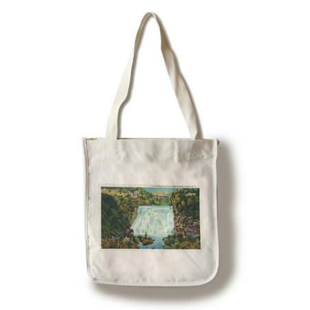 Ithaca, New York - Fall Creek Gorge View, Ithaca Falls Scene (100% Cotton Tote Bag -