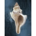 thumbnail image 2 of Malkowski, Melissa 15x18 White Modern Wood Framed Museum Art Print Titled - Conch Shell Blues II, 2 of 4