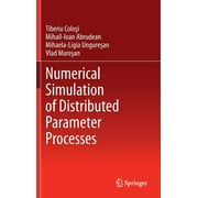 Numerical Simulation of Distributed Parameter Processes (Hardcover)