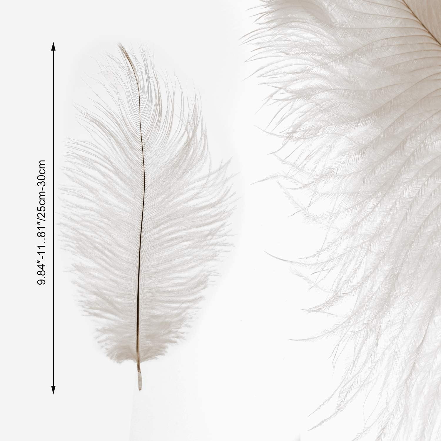 Lot De 20 Plumes D'autruche Naturelles De 20 à 25 Cm, Pour Bricolage, Accessoires De Décoration De La Maison, Costumes, Décoration De Table, Mariage, Fête, Chapeaux, Vêtements, Décoration De Rose