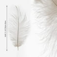 thumbnail image 5 of 10 Pack Ostrich Feathers, 10-12 in (25-30 cm) White Crafts DIY Plume for Centerpieces Home Wedding Party Table Feather Decoration, 5 of 7