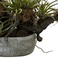 thumbnail image 3 of Nearly Natural 20in. Orchid & Succulent Garden Artificial Plant in Decorative Vase, 3 of 6