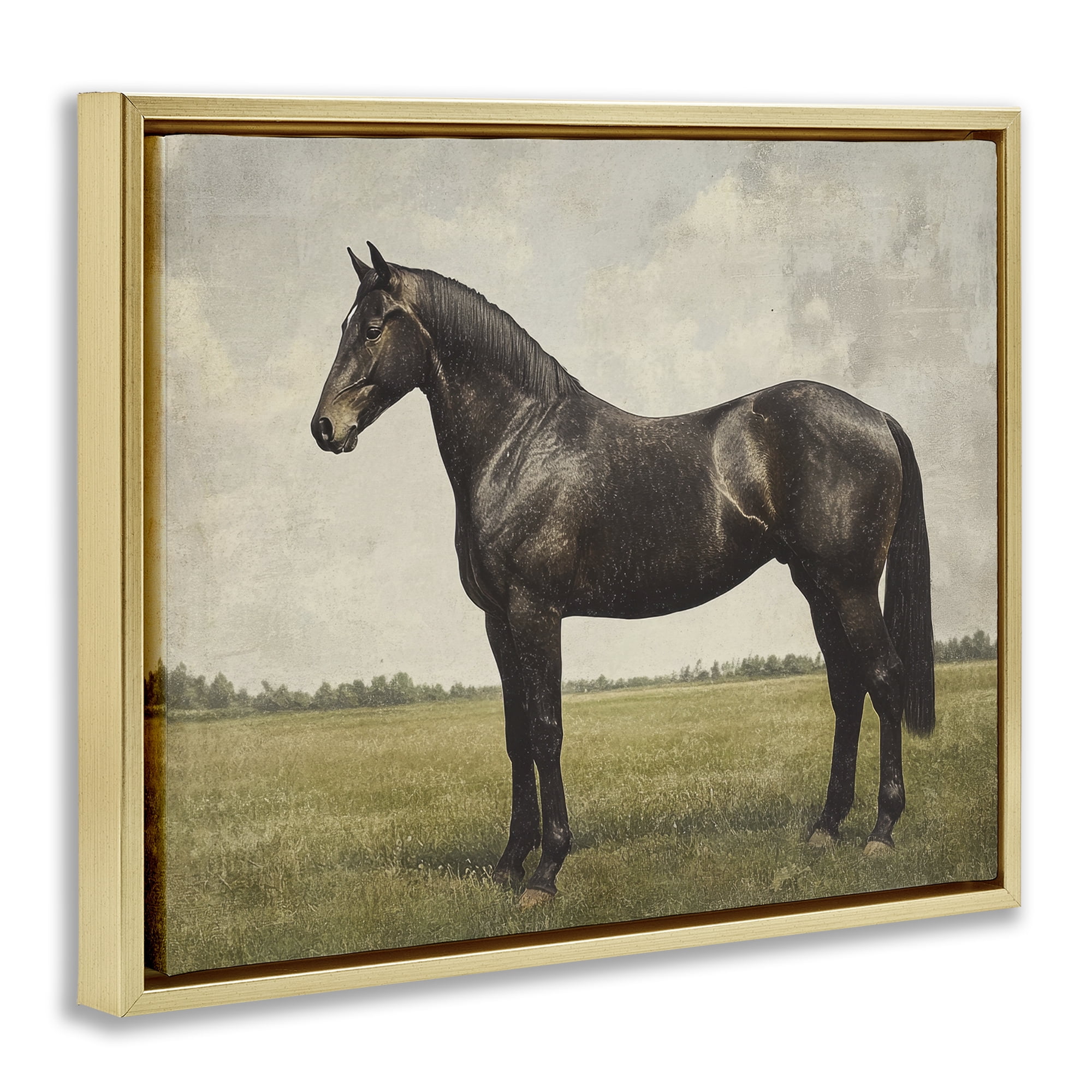 Stupell Industries Espresso Horse in Pastoral Field Gold Framed Floater Canvas Wall Art, design by Petal Prints Design