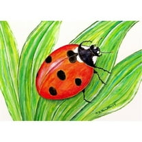 Betsy Drake DM457 18 x 26 in. Lady Bug Door Mat