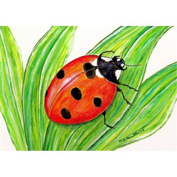 Betsy Drake DM457 18 x 26 in. Lady Bug Door Mat