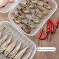 thumbnail image 5 of HEVIRGO Clear Food Storage Box with Lid PP Seafood Fish Refrigerator Organizer Kitchen Tools Clear PE PP, 5 of 8
