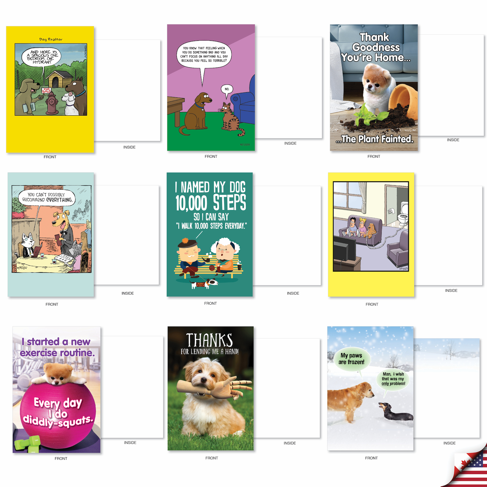 NobleWorks 36 Assorted Box Set Funny Blank Greeting Cards w/5 x 7 Inch Envelopes (36 Designs, 1 Each) Blank All Occasions Barking Blanks AC7753OCB-B1x36