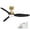 48Inch-Gold& Black, variant on 48 Inch Smart Ceiling Fans with Lights and Remote Control,Dimmable LED Light,Outdoor Indoor Gold White Ceiling Fan,Quiet DC Motor,WIFI Alexa App Workable,for Modern Bedroom Living Room Patio