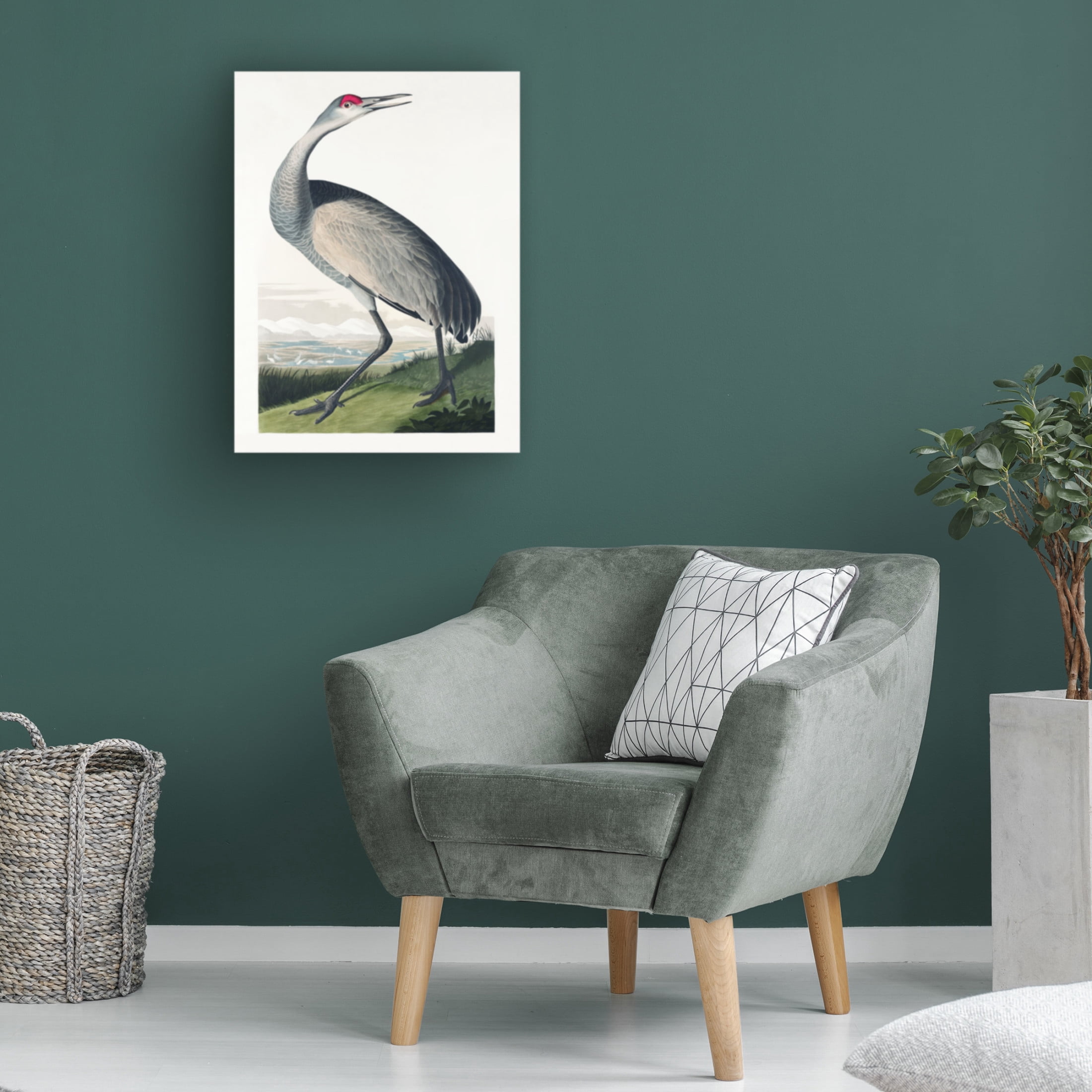 Trademark Fine Art Pictufy   Hooping Crane From Birds of America 1827 Canvas Wall Art