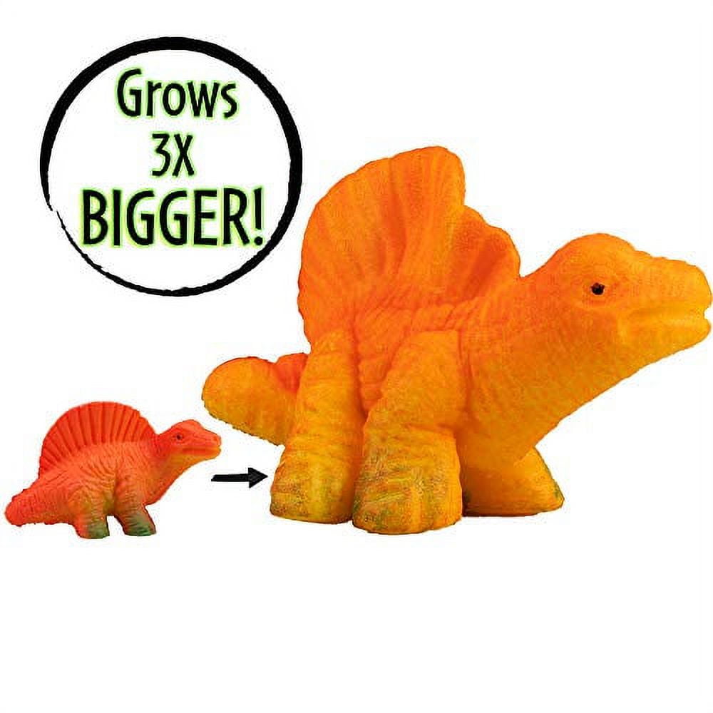 Animal Planet Dinosaur Super Grow Eggs - Dino Toys Hatch & Grow in Water to  3X Size!- Real Life Pterodactyl, Carnotaurus and Parasaur!: Buy Online at  Best Price in UAE 