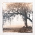 thumbnail image 2 of Robinson, Carol 12x12 White Modern Wood Framed Museum Art Print Titled - Foggy Light III, 2 of 4
