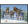 thumbnail image 1 of Carolines Treasures ASA2209MAT Donkeys & Cardinal Indoor or Outdoor Mat- 18 x 27, 1 of 4