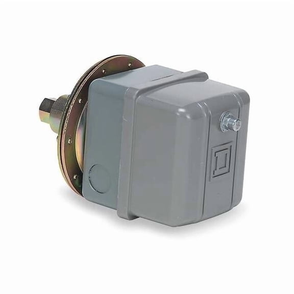 Vacuum Switch, Standard, DPST, 0 to 25 in Hg Range 9016GVG1J10