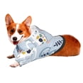 thumbnail image 2 of Bingfone Cute Chameleons On Blue Dog Clothes Hoodie, Pet Winter Coat,Puppy Sweatshirts For Small Dogs Boy Girl,Suitable For All Breeds-Large, 2 of 9