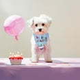 thumbnail image 3 of VONKY Pet birthday drool bib scarf, 3 of 9