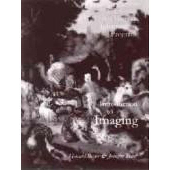 Pre-Owned Introduction to Imaging : Issues in Constructing an Image Database (Paperback) 9780892363612